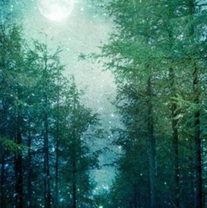 Meet your Posher, Bruce